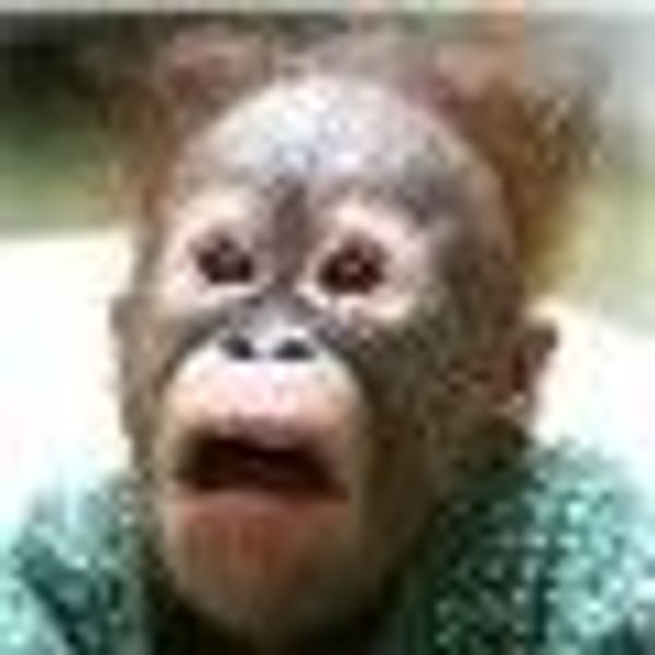 rocketman profile photo