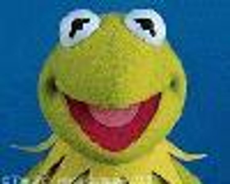 Switz78 profile photo