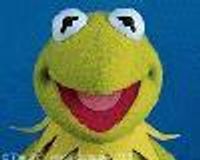 Switz78 Profile Photo