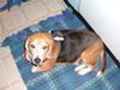 Gina3 Profile Photo