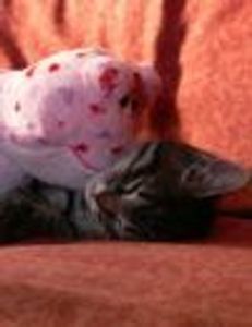 Liberavieve Profile Photo