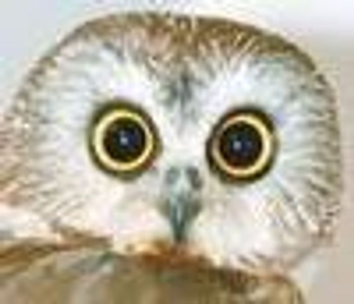 eatyourlunchblanch profile photo