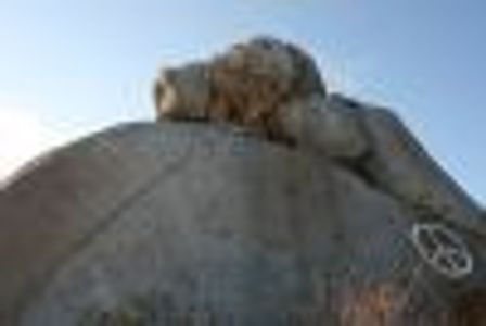 metaphorical Profile Photo