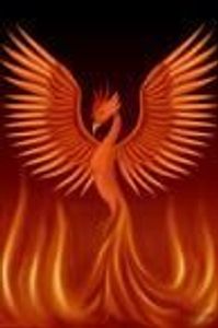 Trailer Trash Jones Profile Photo