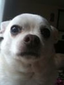 Spikemark2 Profile Photo