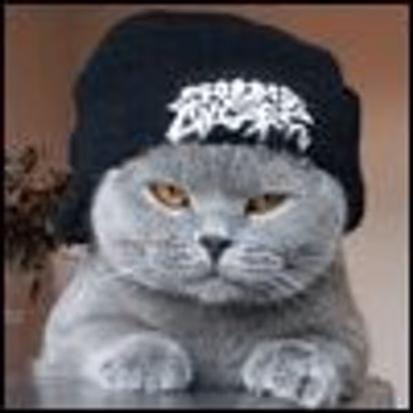 BadIdeaBear profile photo