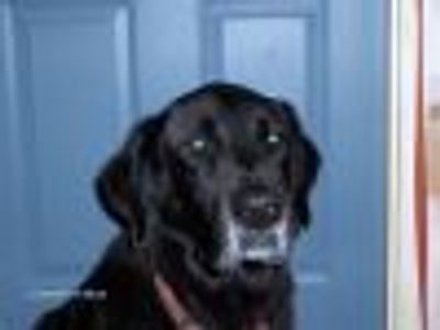 jordangirl Profile Photo