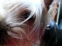 gilliane Profile Photo