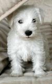 laurashelby Profile Photo