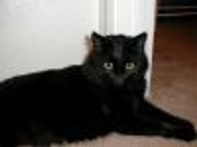 BobChapski Profile Photo