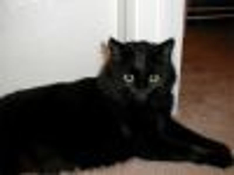 BobChapski profile photo