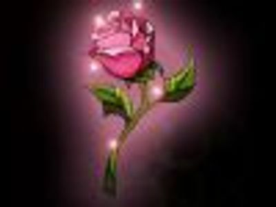 bwayrose7 Profile Photo