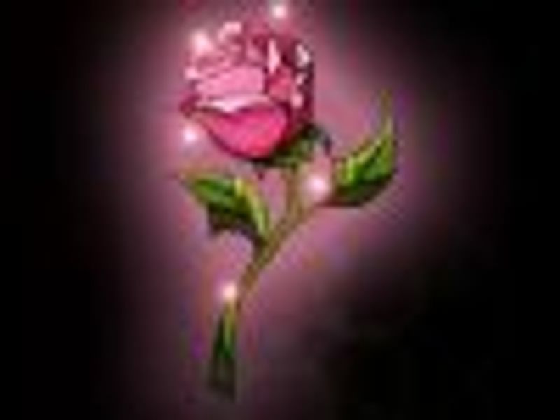 bwayrose7 profile photo