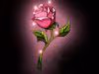 bwayrose7 Profile Photo