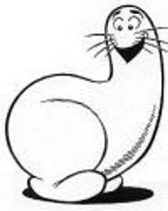 shanescot Profile Photo