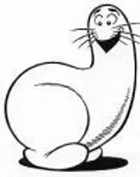 shanescot Profile Photo
