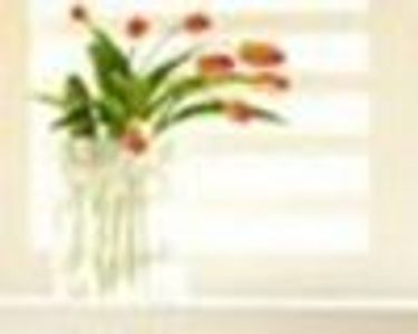 YourCornerSpot Profile Photo