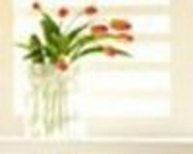 YourCornerSpot profile photo
