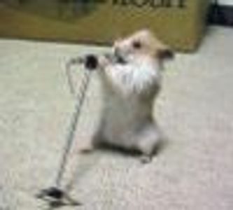 nobizlikeshobiz Profile Photo