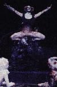 Another Skimbleshanks Profile Photo