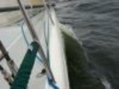 usmma2010 Profile Photo