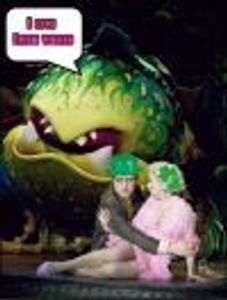 SpellinBeeFan4Ever Profile Photo