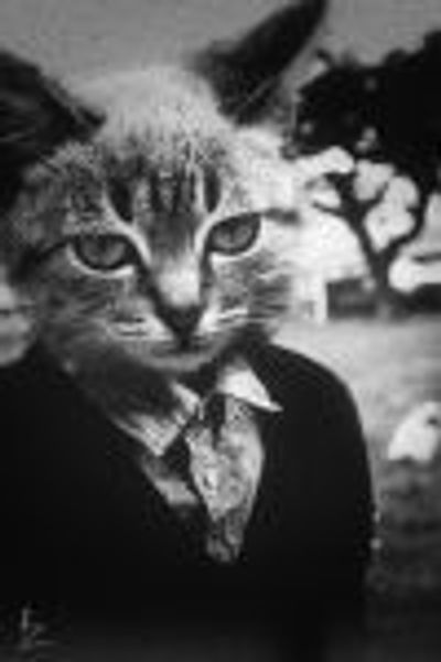 mentaltenant profile photo