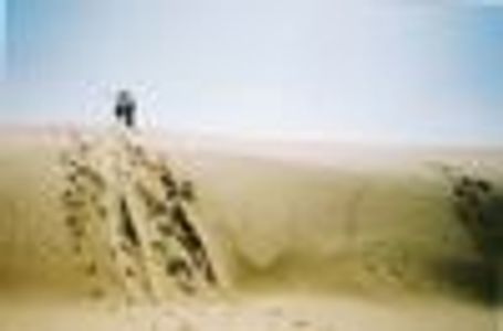 Katie3 Profile Photo