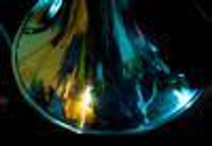 musical3 Profile Photo