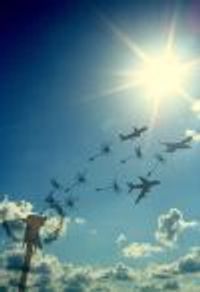 tropicalaqua Profile Photo