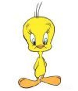 TweetyPie2 Profile Photo