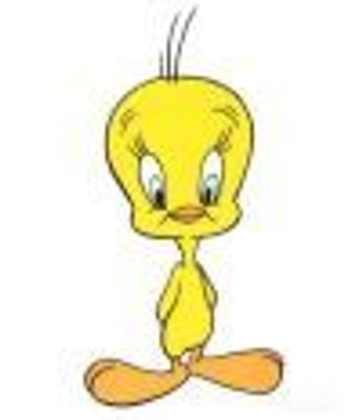 TweetyPie2 profile photo