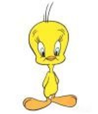 TweetyPie2 Profile Photo