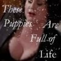 Mullally Fan Profile Photo