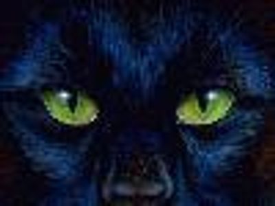 Twilight Profile Photo