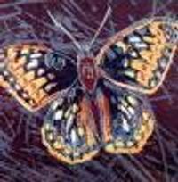 SMNikky Profile Photo