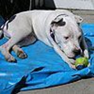 cmcenyc Profile Photo