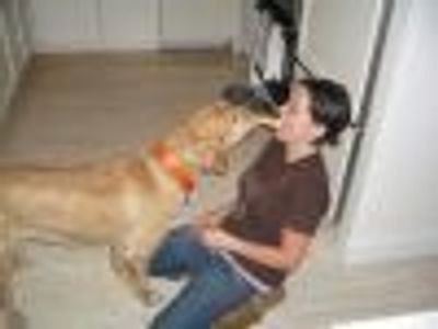 CelebrityDogWalker Profile Photo