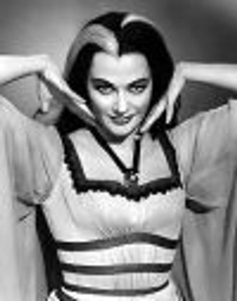 Fledermaus profile photo
