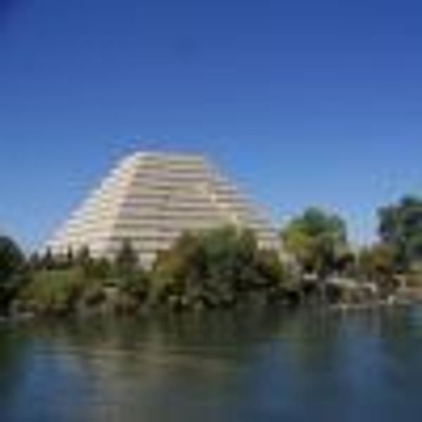 Ziggurat profile photo